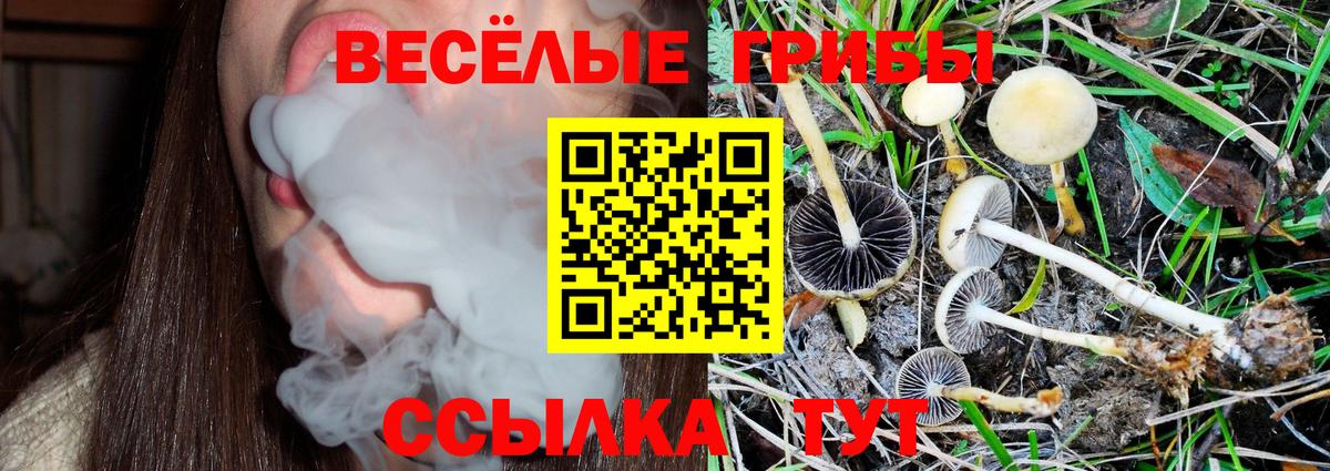 Нефтекумск  Псилоцибиновые грибы Cubensis  Вход с VPN 